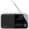 Радиоприемник Grundig TR 2200 DAB+ (зеленый)