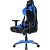 Кресло AKRacing ProX (синий/черный)