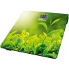 Напольные весы Sakura SA-5071GR